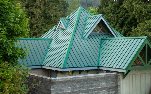 Best Skylight Installation and Repair  in Friona, TX