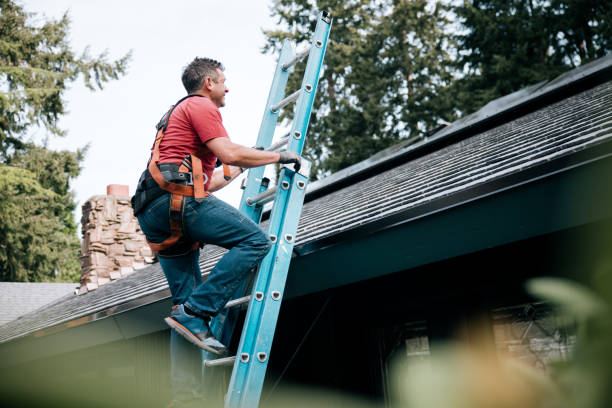 Best Steel Roofing  in Friona, TX