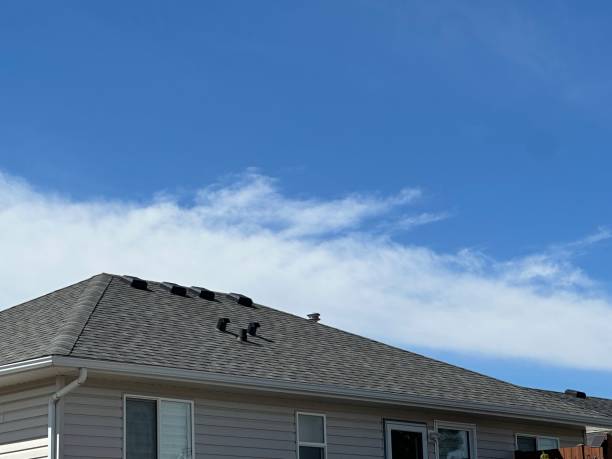 Best Sheet Metal Roofing  in Friona, TX